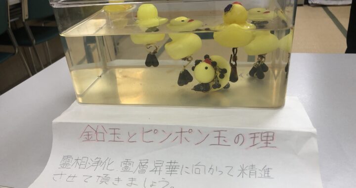 気づきの世界